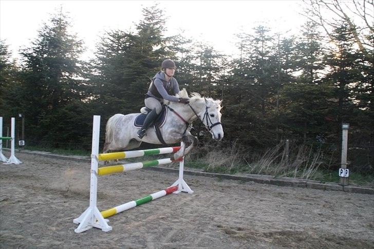 Connemara Teglstrups Samos - spring træning d. 23 april 2012 billede 14