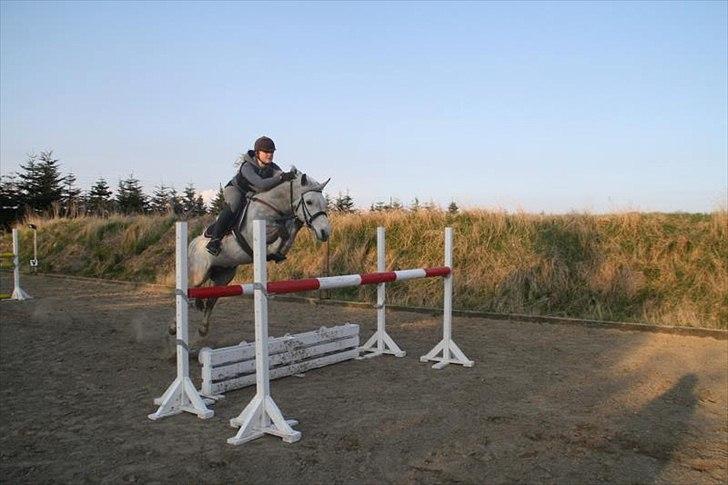 Connemara Teglstrups Samos - spring træning d. 23 april 2012 billede 15