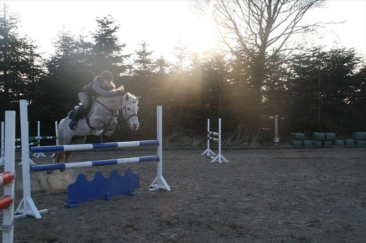 Connemara Teglstrups Samos - spring træning d. 23 april 2012 billede 16