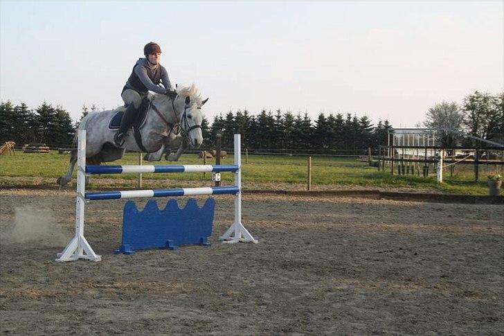 Connemara Teglstrups Samos - spring træning d. 23 april 2012 billede 17