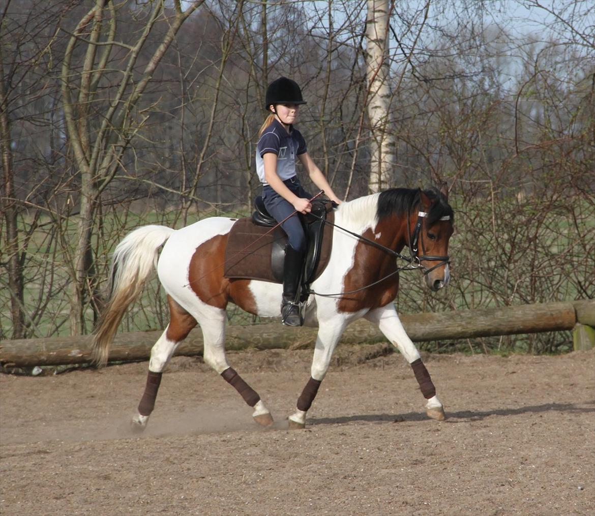 Anden særlig race Pretty<'3 - SOLGT billede 17