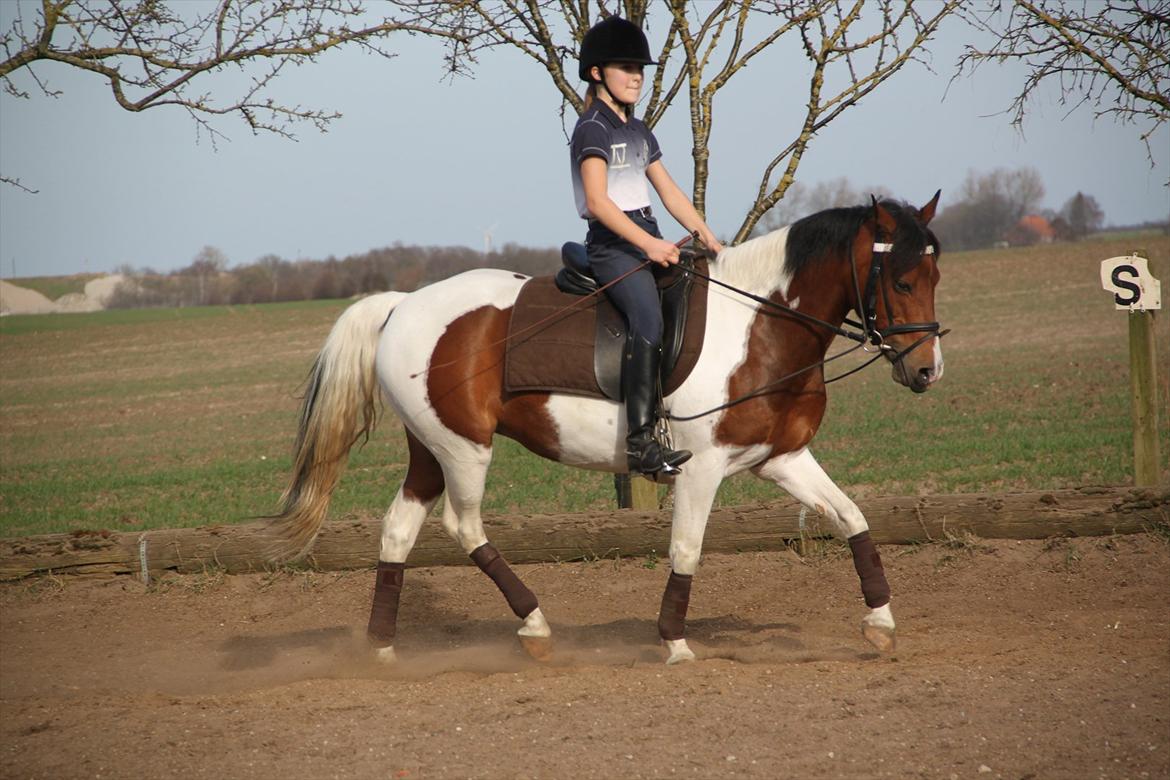 Anden særlig race Pretty<'3 - SOLGT billede 18