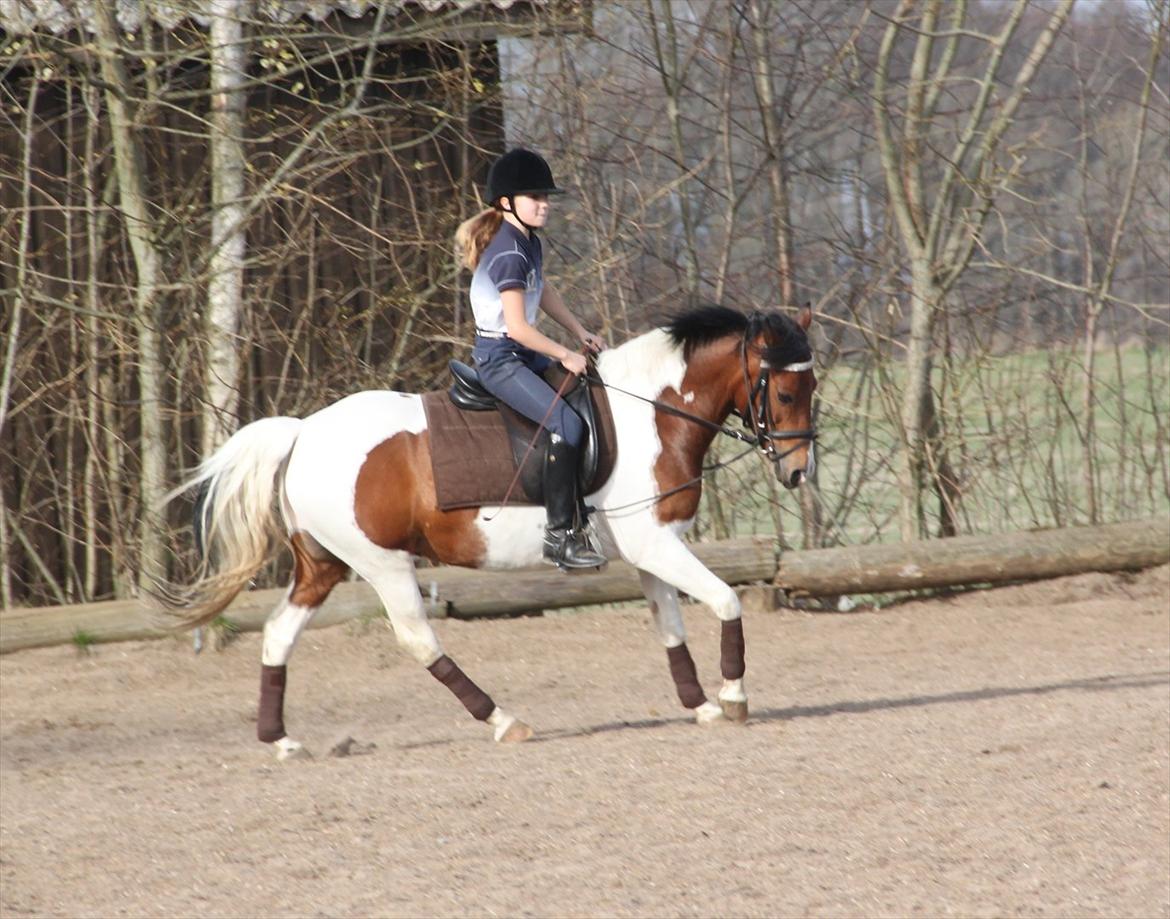 Anden særlig race Pretty<'3 - SOLGT billede 19