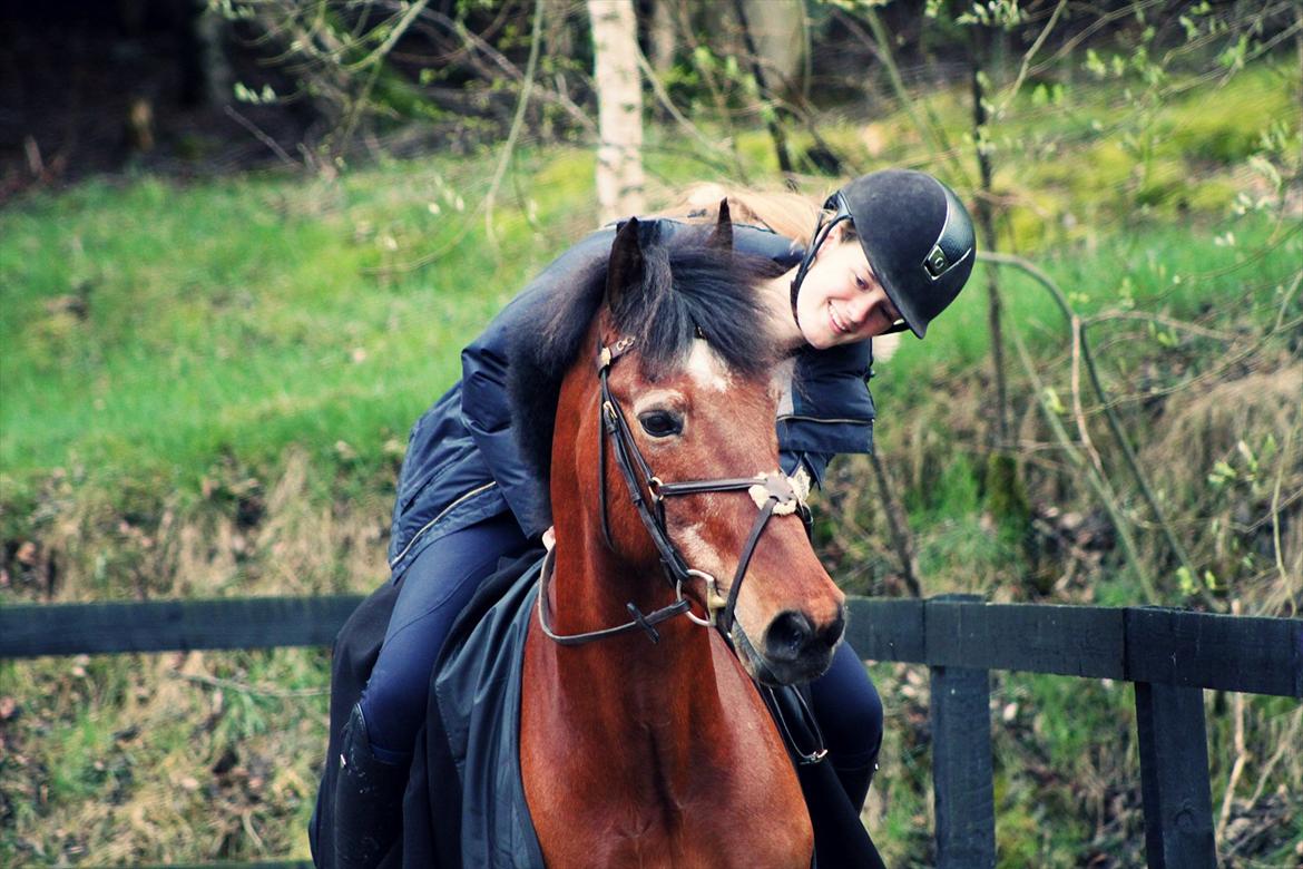 Anden særlig race Bip Bip - DRØMMEPONYEN - “There are many things in life that will catch your eye. But only a few will catch your heart.” billede 12