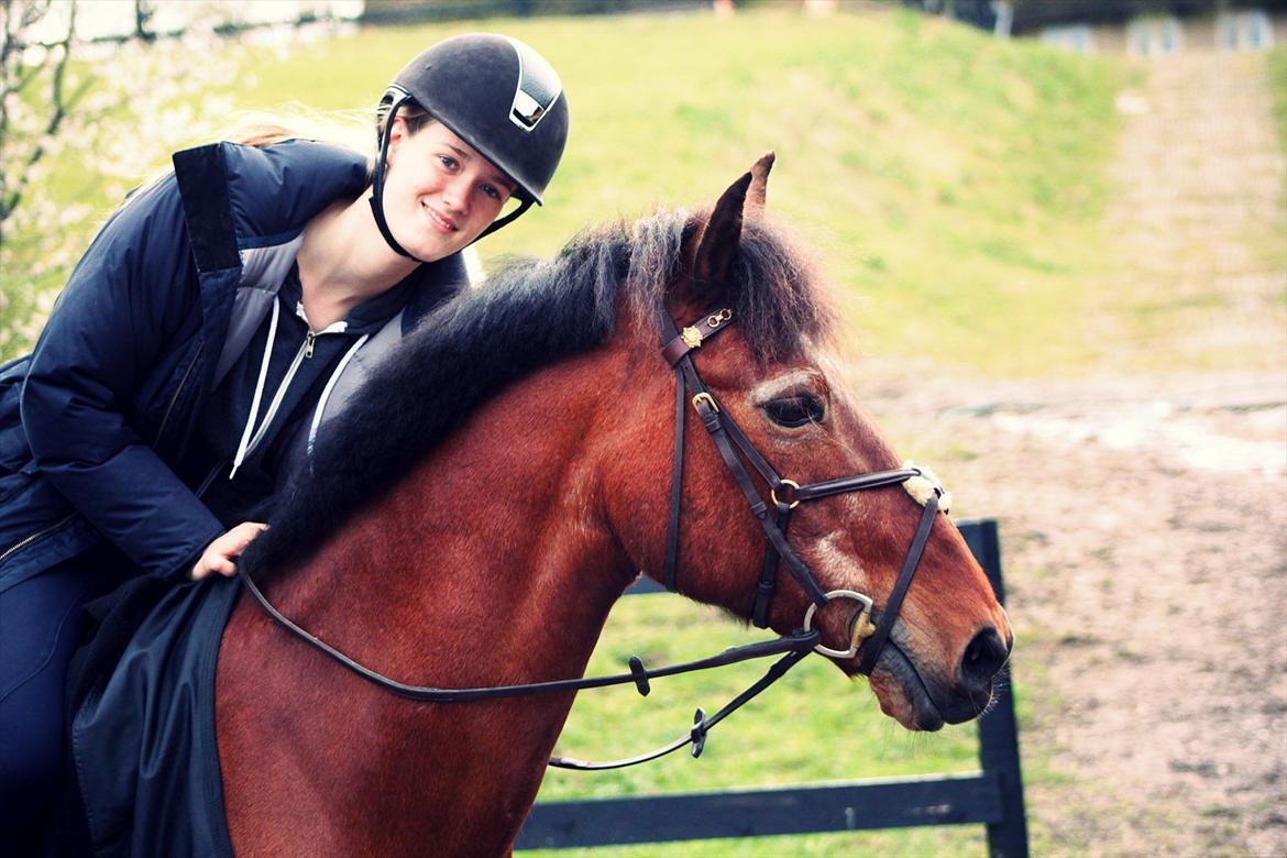 Anden særlig race Bip Bip - DRØMMEPONYEN - Baby, you light up my world like nobody else billede 6