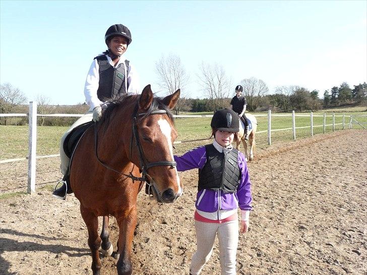 Anden særlig race kashmir billede 5