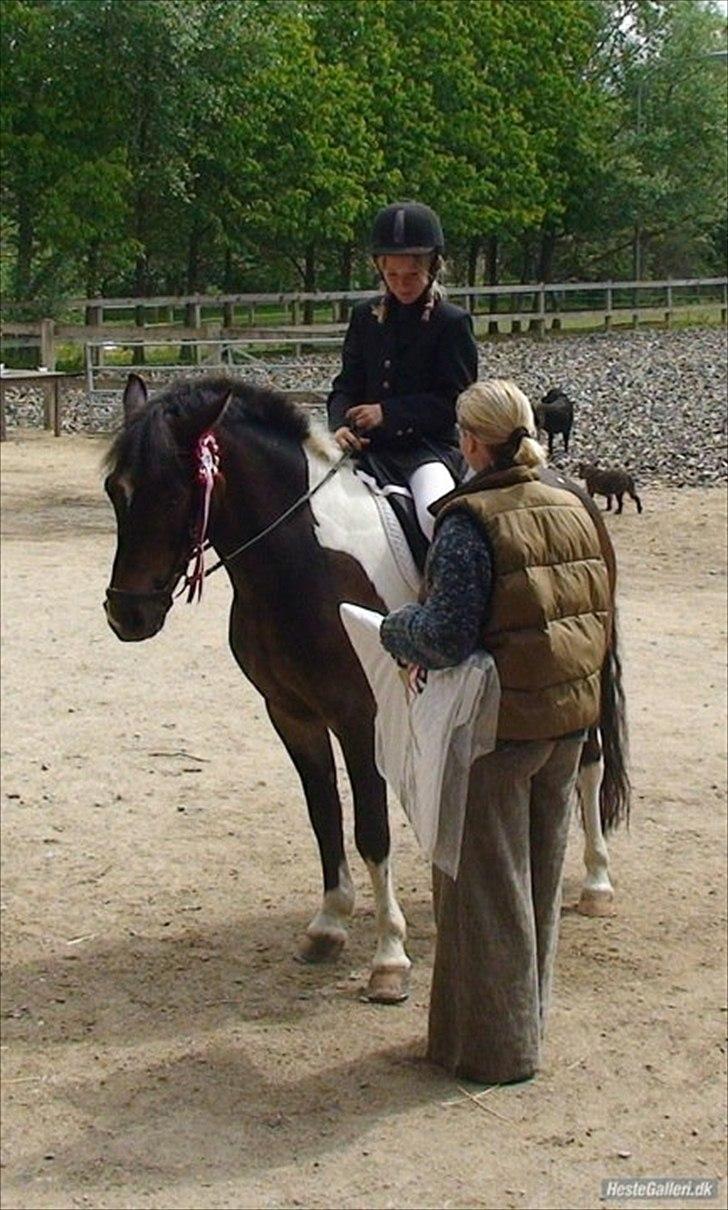 Anden særlig race Django - Da vi startede vores første dressurstævne sammen♥ (og vandt :p) billede 13