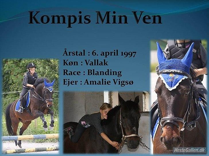 Anden særlig race Kompis Min Ven  ( Solgt ) - Velkommen til Kompis Min Ven`s profil billede 1