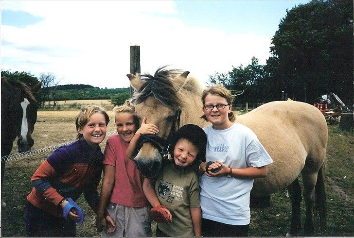 Fjordhest BINE R.I.P. - 16. Fætter-kusine-hygge, hvilket Bine nød! :) billede 16