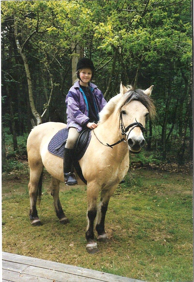Fjordhest BINE R.I.P. - 17. Bine og jeg på skovtur :) billede 17
