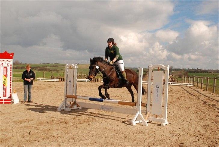 Anden særlig race Thyra - Springstævne Sds igen :) Her springer vi 50 cm igen :b billede 4