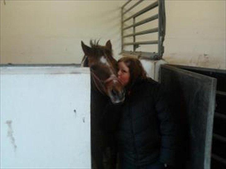 Anden særlig race bella billede 14