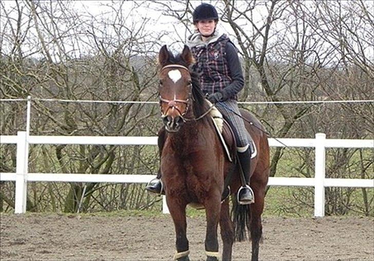 Anden særlig race Prinsesse Nala - Nala og Noa billede 4