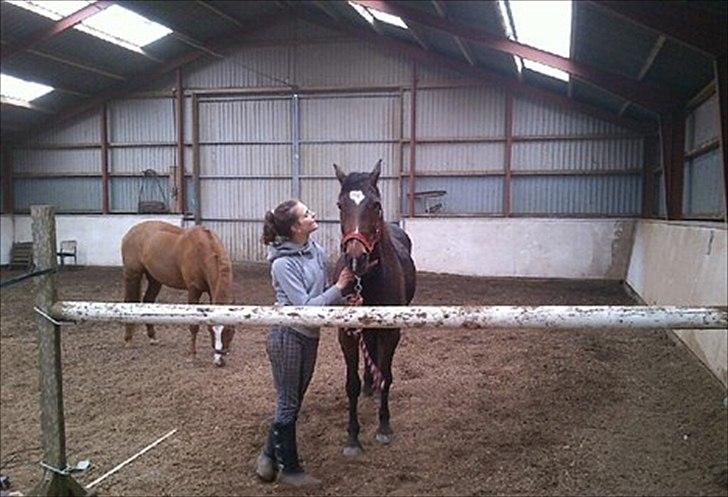 Anden særlig race Prinsesse Nala - Her har Nala sprunget 115 cm i løsspring! :-) billede 7