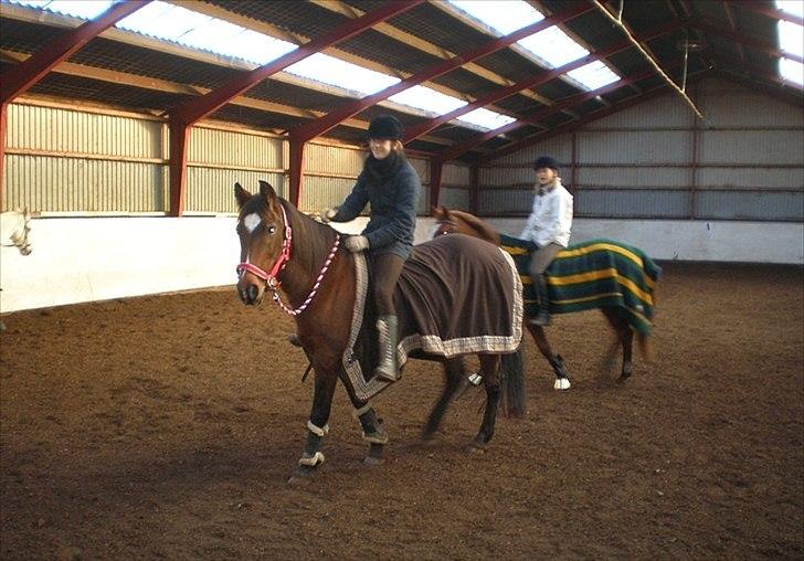 Anden særlig race Prinsesse Nala - Lidt hyggeridning skal der være plads til :-) billede 8