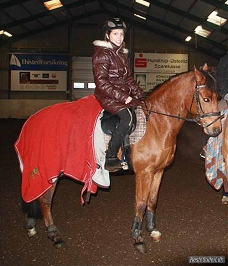 New Forest Filur <3 - B PONY - Han er så smuk!  billede 5