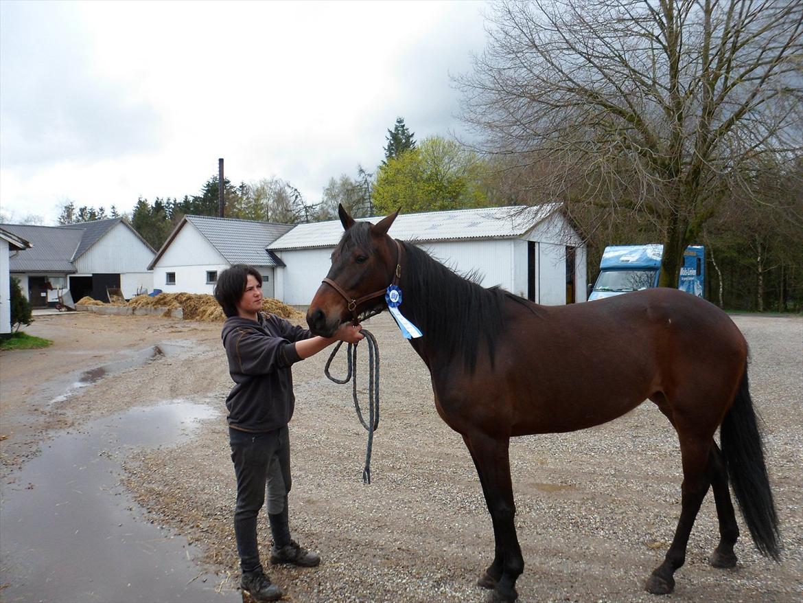 Traver Risa  (passer) billede 2