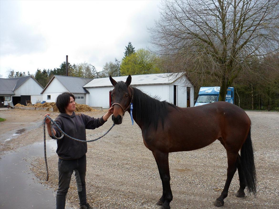 Traver Risa  (passer) billede 3