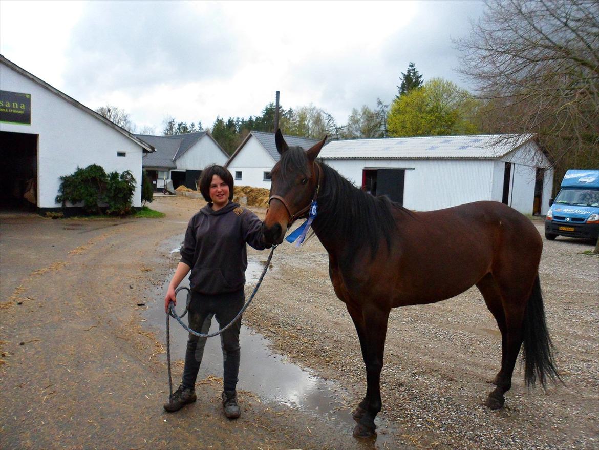 Traver Risa  (passer) billede 4