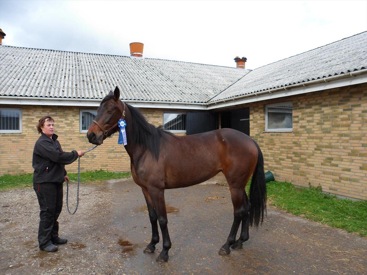 Traver Risa  (passer) billede 6