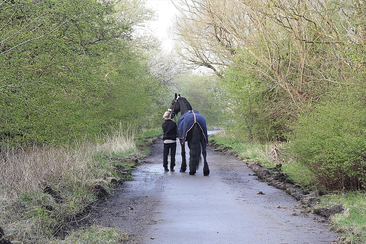 Frieser Luis - Foto: Louise Heilmann K Sørensen (mig) billede 20