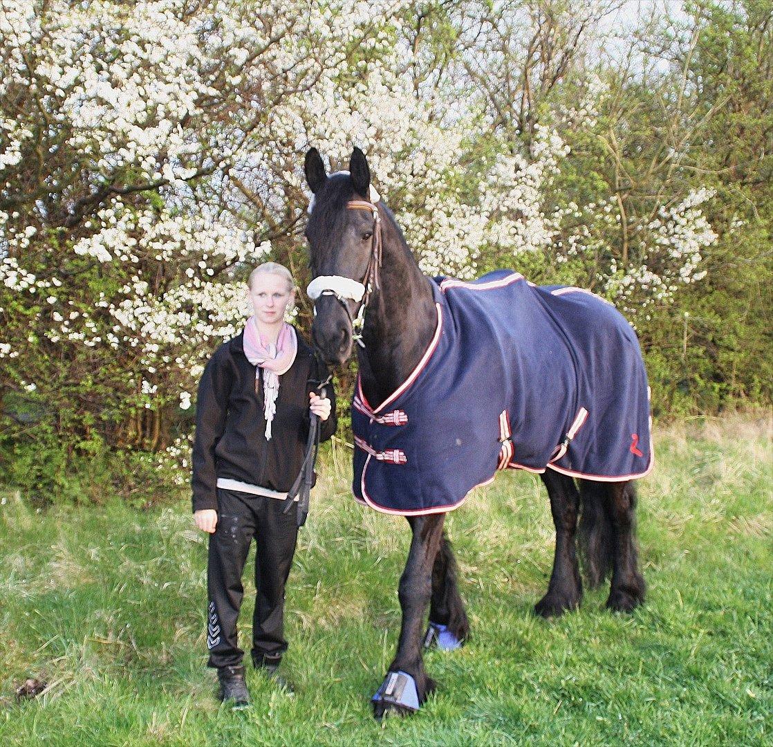 Frieser Luis - Foto: Mia Lilja Nielsen billede 8