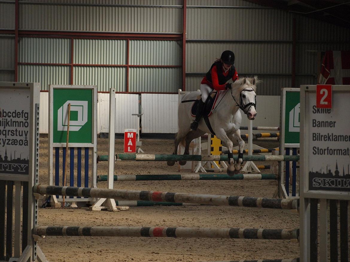 Anden særlig race Milky Way - C-stævne i Boller rideklub LB* ell. LB** :) billede 7