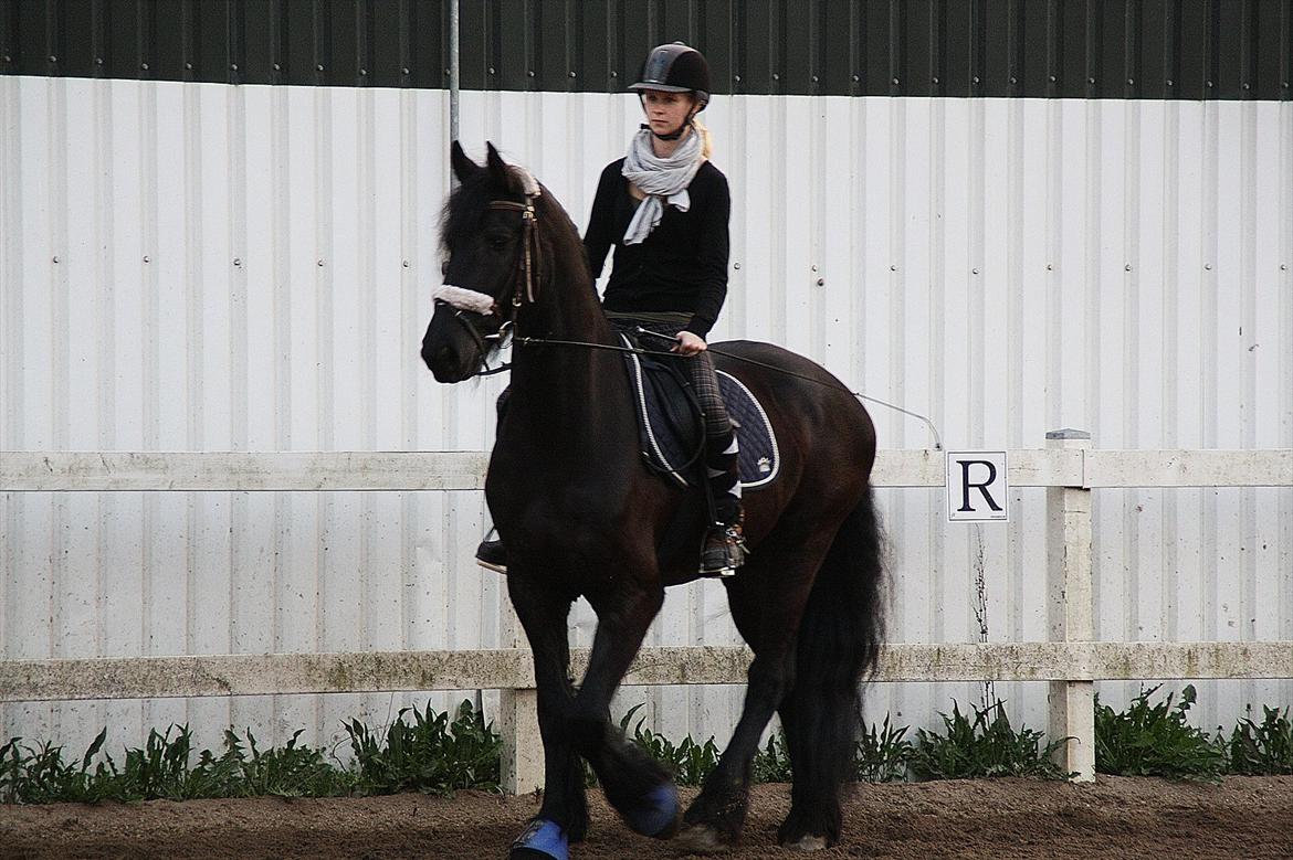 Frieser Luis - Foto: Mia Lilja Nielsen billede 2