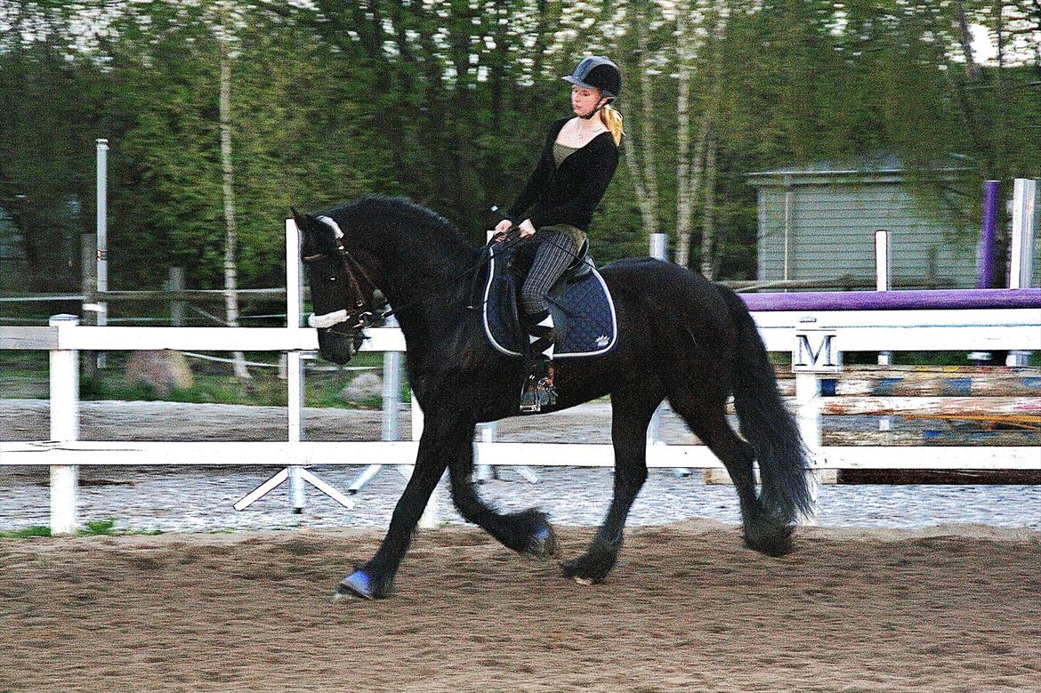 Frieser Luis - Foto: Mia Lilja Nielsen billede 14