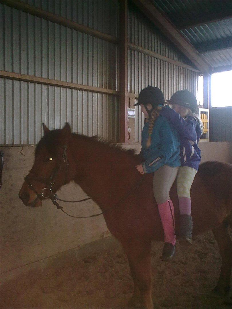 Anden særlig race gori - mig lille søster på gori billede 9