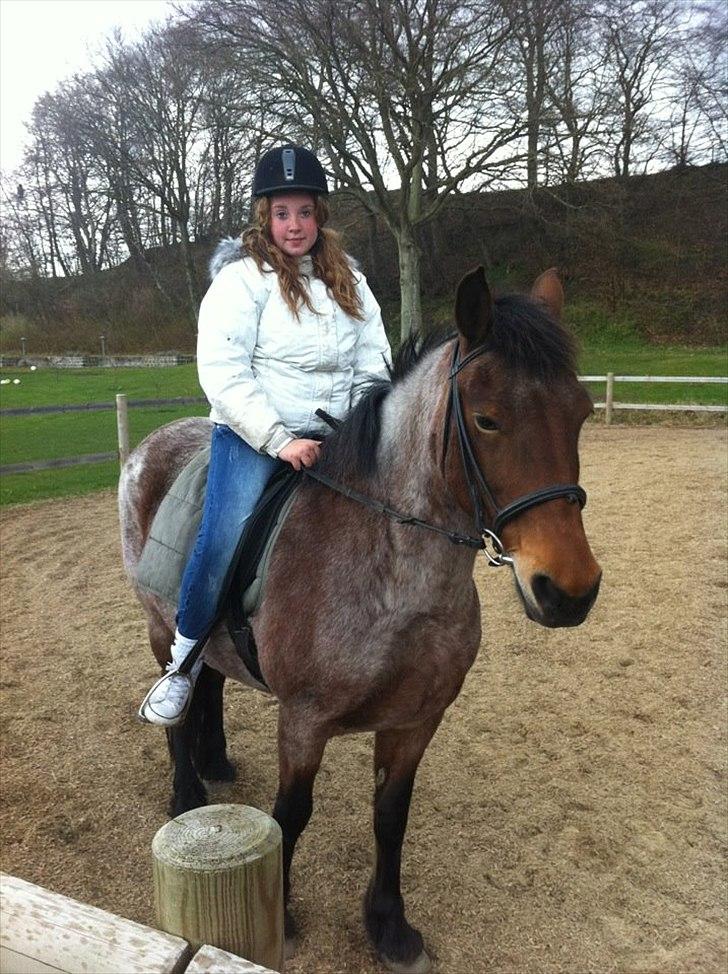 Anden særlig race Donna Karan - Da jeg var ude og prøve hende første gang!(: billede 8