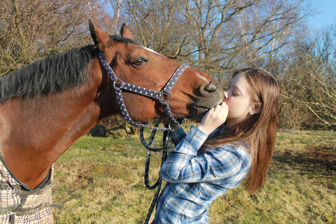 New Forest Thrustfull billede 1