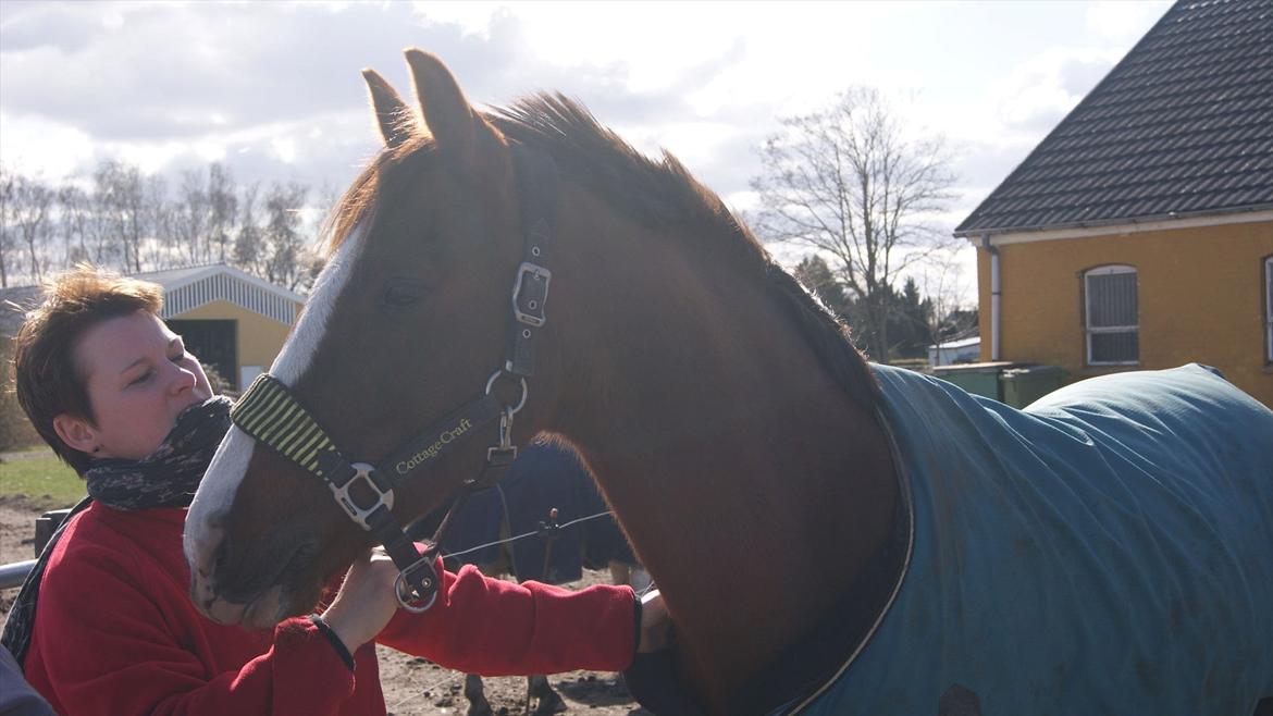 DSP Hope - Min mor og Hope. <3 2012 billede 10