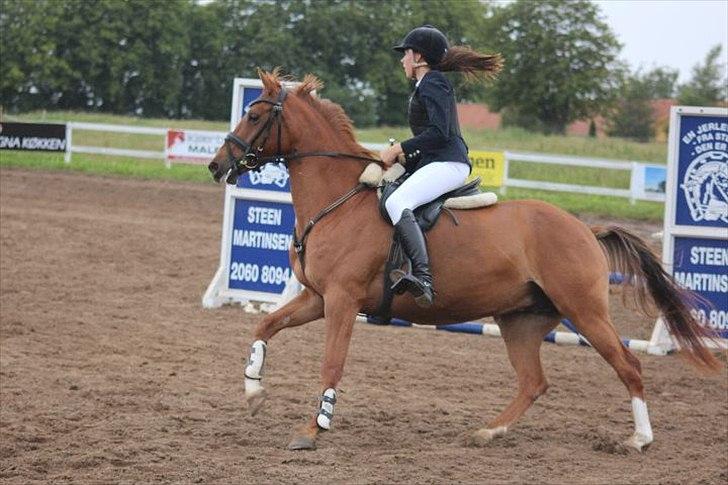 DSP Lille Asserholt Naomi [KLUBMESTER 2011] - LB** til klubmesterskabet 2011 i BOR billede 14