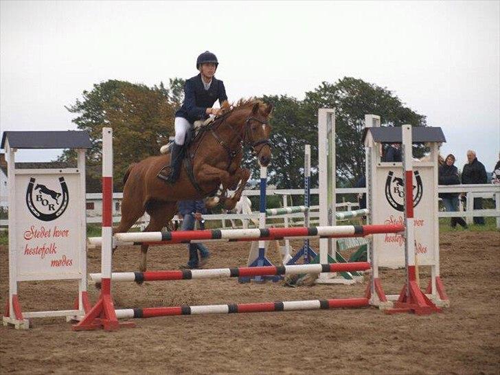 DSP Lille Asserholt Naomi [KLUBMESTER 2011] - LB** til klubmesterskabet 2011 i BOR billede 4