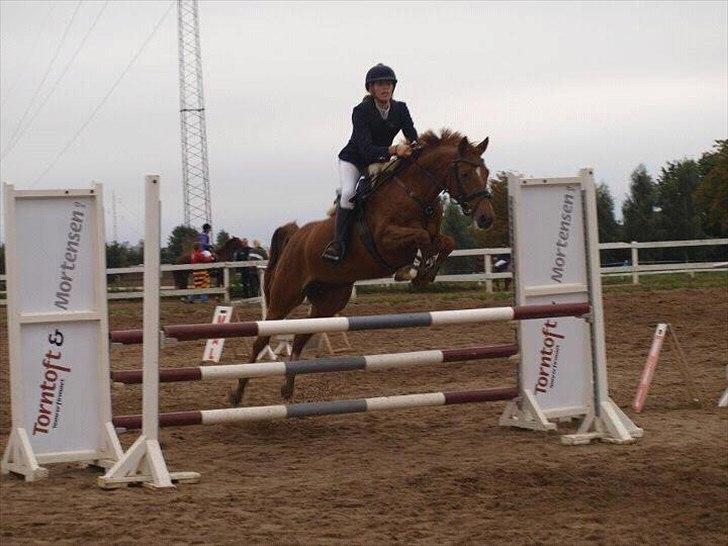 DSP Lille Asserholt Naomi [KLUBMESTER 2011] - LB** til klubmesterskabet 2011 i BOR billede 3