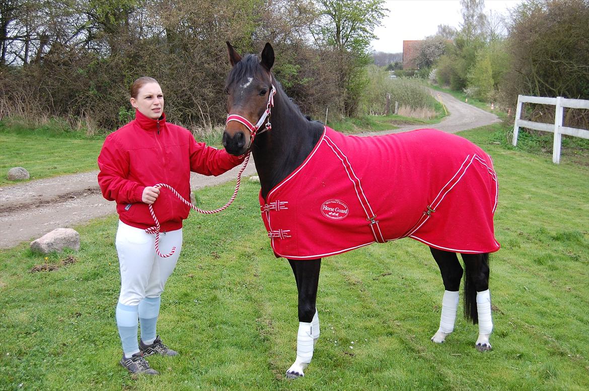 Pinto Storgaards Isabella billede 10