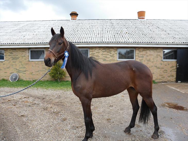 {{currentPhoto.altText}} billede {{currentPhoto.number}}