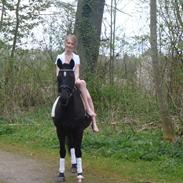 Anden særlig race Felix 