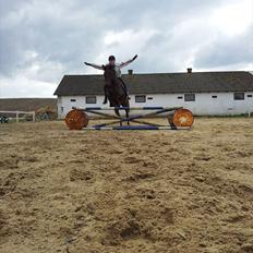 Anden særlig race Sussi/mulle-pigen<3