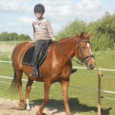 Anden særlig race Yasmin