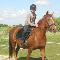 Anden særlig race Yasmin