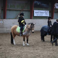 Anden særlig race Bonni