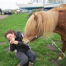 Islænder Ljomi fra Wennersminde