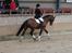 Oldenborg Complete