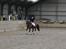 Oldenborg Complete