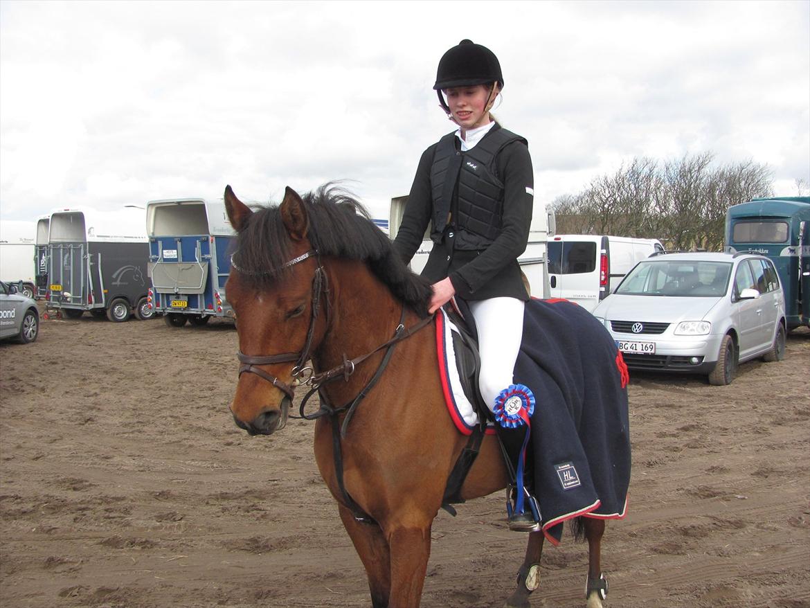 New Forest Filur B-pony - 2. stævne og første C-stævne ;*<3 ULB** og ULA**<3 billede 2