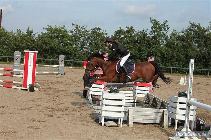 New Forest Filur B-pony - stjernen over vandgraven i Farsø<3
-det var dette stævne han blev B-pony til med Sofia Westergaard 2011 :* billede 5
