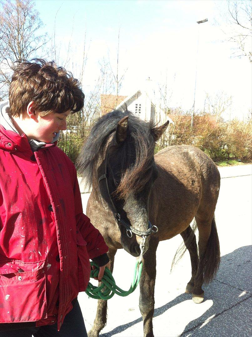 Anden særlig race Lagarto bjædsø  billede 13