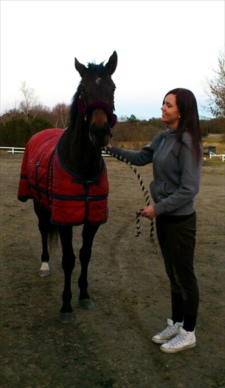 Fuldblod (XX) Adept  SOLGT - Da jeg lige havde fået hende hjem <3 billede 20